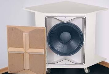 Eckhorn 18 MkII Hobby HiFi 5/2017 Gehäusebausatz