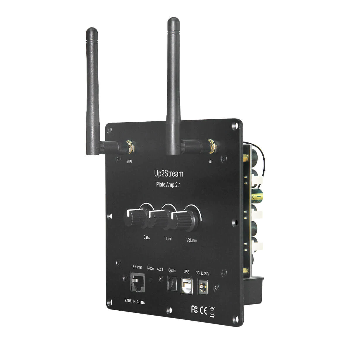 Arylic Up2Stream Plate Amp 2.1
