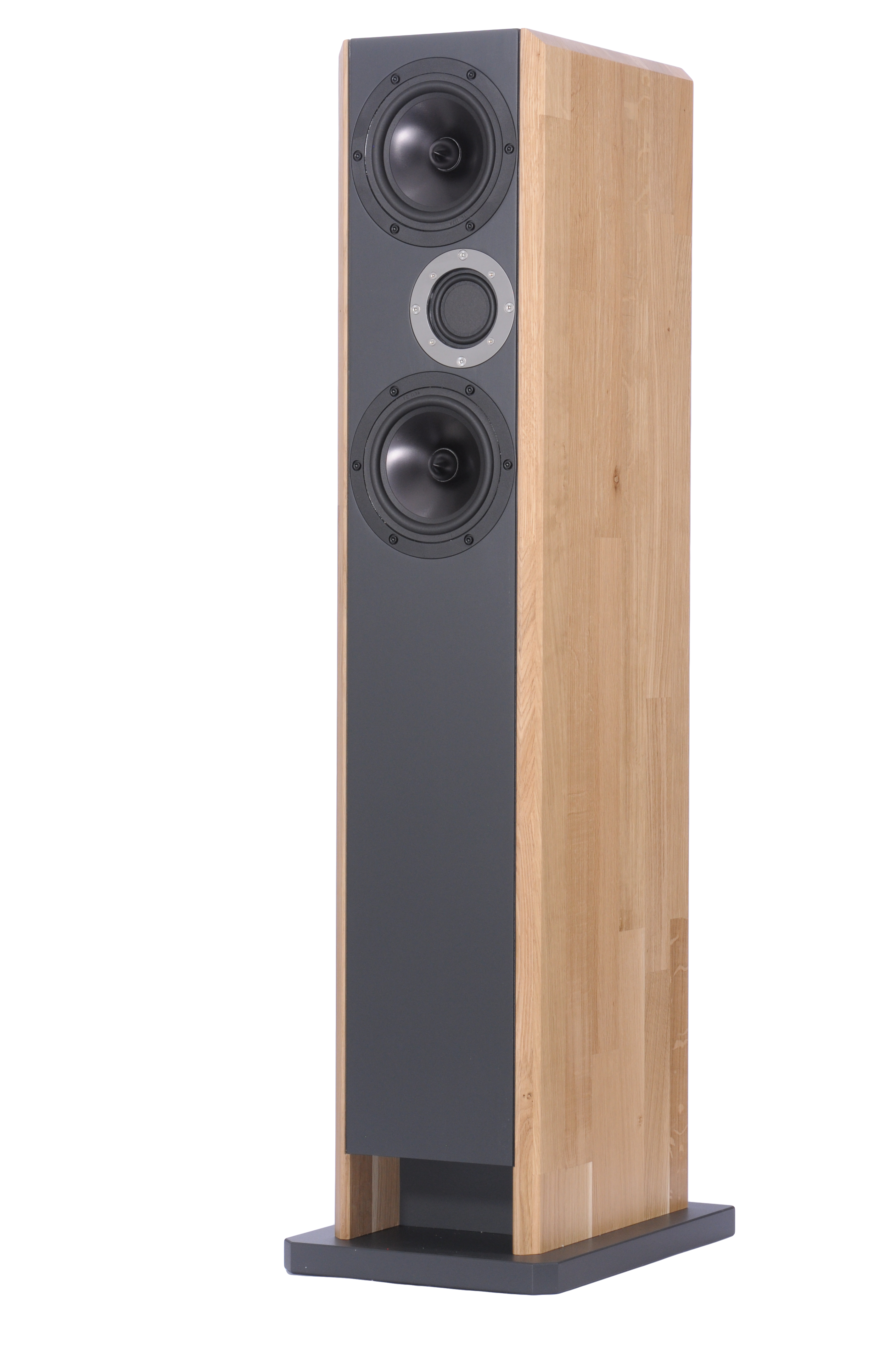 DayDream-TLR_-PNG-2 DayDream TLR Lautsprecher-Bausatz