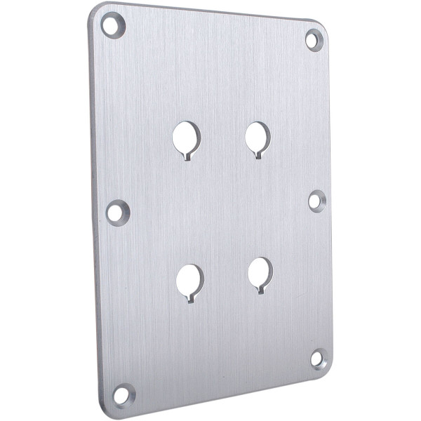 Dayton Audio DBPP-SI Double Binding Post Plate Silver Anodized B-Ware