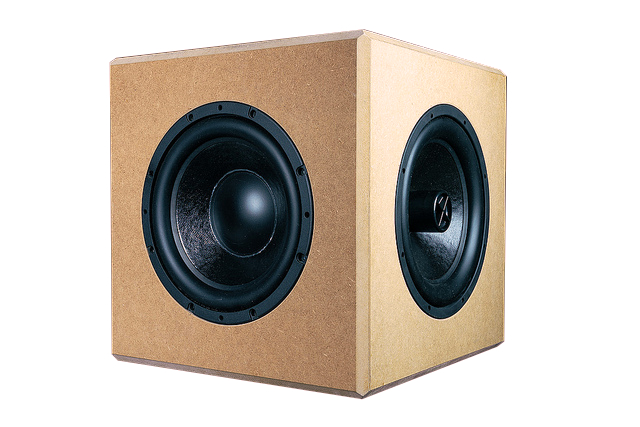 sdx12woofer_editgpIIFEUXMHi7f CSS SDX12 2 PR Subwoofer Gehäuse-Bausatz